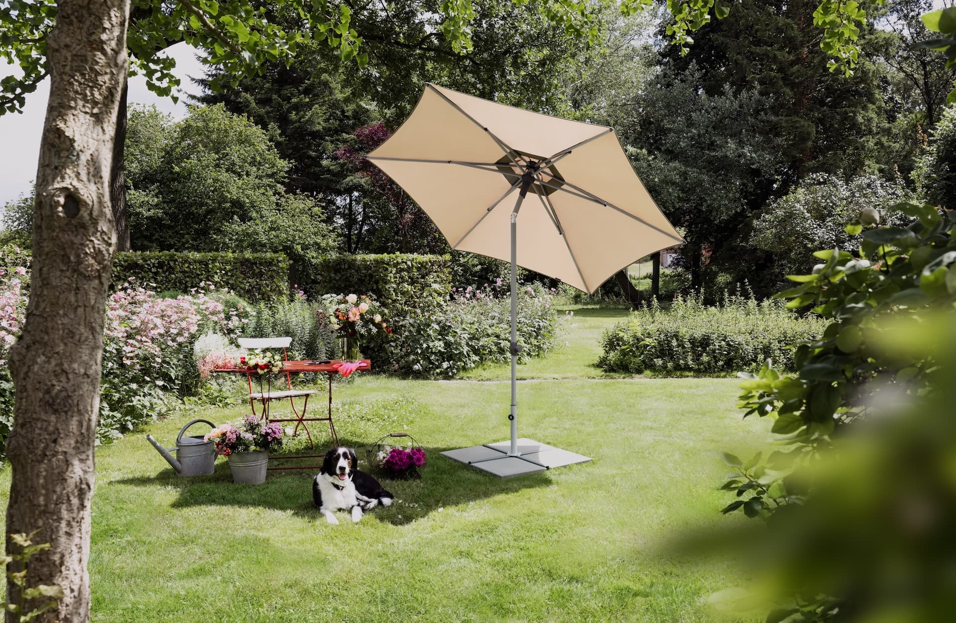 Parasol balcon inclinable Suncomfort Pop Up coloris Light Taupe 053 dans un jardin.