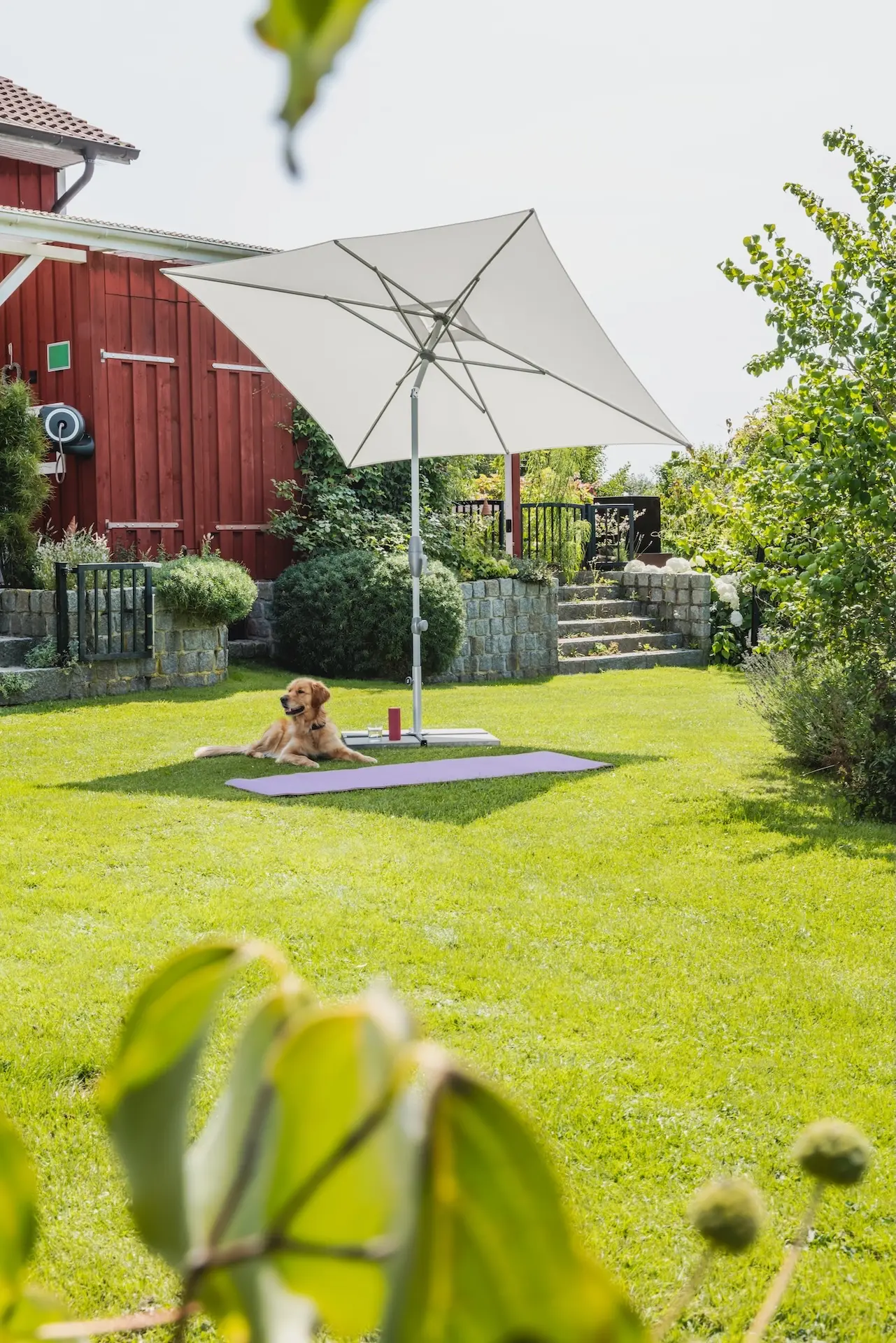 Parasol de terrasse inclinable Shell Turn Suncomfort by Glatz coloris Sand White 050 dans un jardin.
